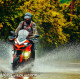 Захист рук Ducati Multistrada 950, Ducati Multistrada 950 S, Ducati Multistrada 1200, Ducati Multistrada 1200 Enduro, Ducati Multistrada 1260, Ducati Multistrada 1260 S, Ducati Multistrada 1260 Enduro. Barkbusters BLG-016